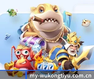 悟空体育官方五大内容板块,覆盖赛事直播与实时比分(WukongSports)